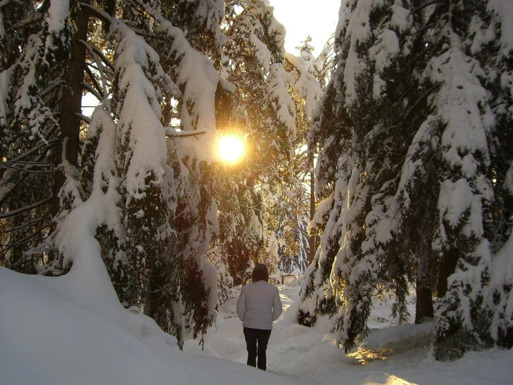 Pension Casa Selva Trin Dış mekan fotoğraf