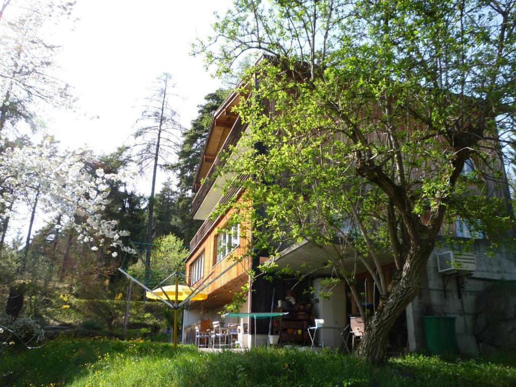 Pension Casa Selva Trin Dış mekan fotoğraf
